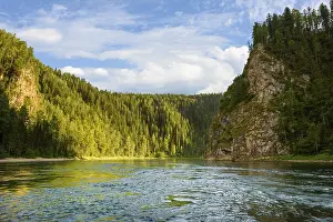 Open Air Countryside Scenes Prints: A river among a coniferous forest