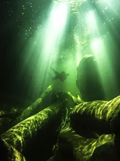 Images Dated 27th June 2024: River Diving Print - Underwater Magic Scene