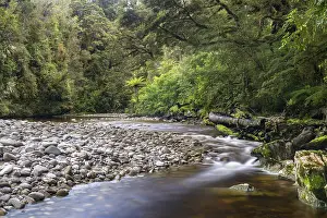 South Island Landscape Prints: River flows through rainforest