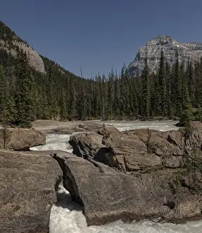 North America Natural Landmark Prints: River flows between rocks surrounded by pine forest
