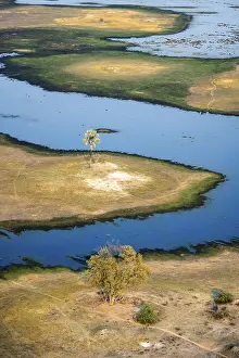 Okavango Delta Landscape Prints: River landscape with palm tree