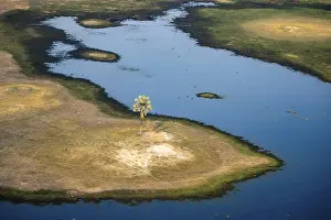 High Angle View Of Water Body Prints: River landscape with palm tree