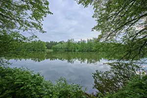 River Landscape Prints: River landscape, reflection, tree