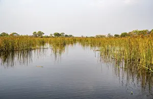 World Natural Heritage Botswana Prints: River landscape, reflection in water