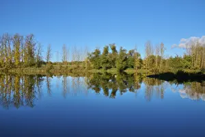River Main Reflections Prints: River, Main, Trees, Reflection