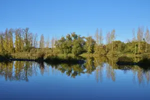 Bavaria Waterfront Scene Prints: River, Main, Trees, Reflection