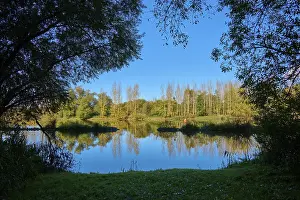 River Main Germany Prints: River, Main, Trees, Reflection