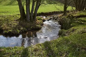 Central Europe River View Prints: River, Meadow, Tree, Spring, Odenwald