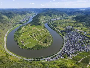 Vineyard View Germany Prints: A river meanders through a green