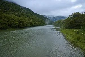 Mount Aspiring National Park Prints: A river meanders through a misty
