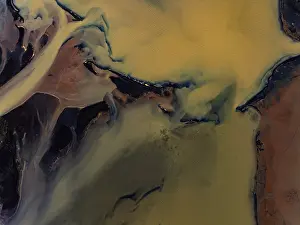Wild River Landscape Prints: River, river course, river delta