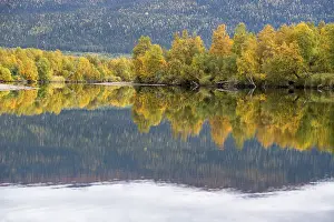 Prints of River Tarraatno in autumn, Kvikkjokk, Laponia, Norrbotten, Lapland, Sweden River Tarratno in autumn, Kvikkjokk, Laponia, Norrbotten, Lapland, Sweden River Prints: River Tarraatno Autumn Print, Kvikkjokk Sweden