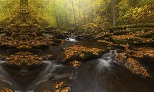 Rainforest Waterfall Prints: River with waterfall hidden in the rain forest