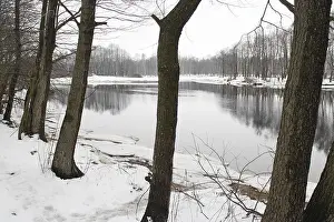 Snowy River Landscape Prints: The river Winter landscape leafless trees