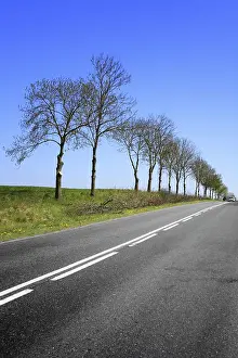 Deserted Highway Prints: Road