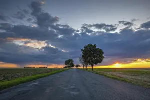 Czech Republic Landscape Photography Prints: On the empty road between fields after harvesting at dramatic sunter