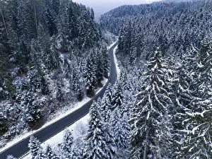 Deserted Forest Road Prints: Road through the forest in the snow