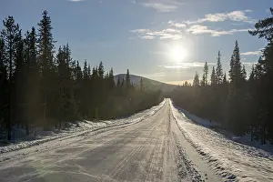 Lapland Province Photography Prints: Road to Muonio in the backlight