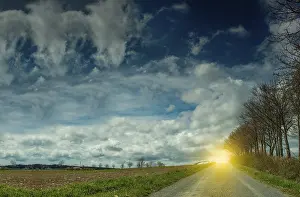 Deserted Countryside Prints: A road surrounded by trees with sky and clouds