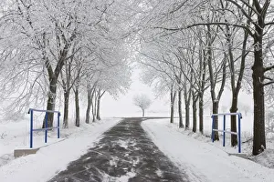 Empty Highway Prints: Empty road in winter