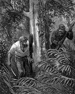 Uninhabited Island Depiction Prints: Robinsons of Guyana. Surrender