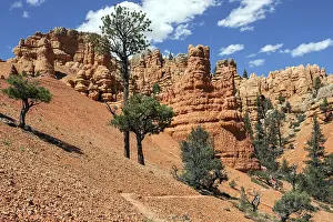 Utah National Park Prints: Rock formations created by erosion