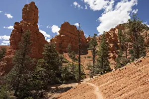 Red Canyon Utah Landscape Prints: Rock formations created by erosion
