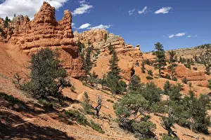 Utah Rock Formations Prints: Rock formations created by erosion