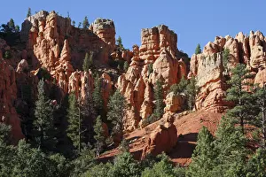 Eroded Canyon Scenery Prints: Rock formations created by erosion