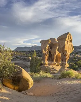 US Travel Photography Prints: Rock formations in Devil's Garden