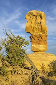Sandstone Rock Formations USA Prints: Rock formations in Devil's Garden