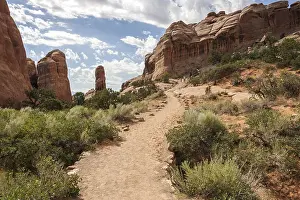 Rock Formations Prints: Rock formations at Devil's Garden Trailhead