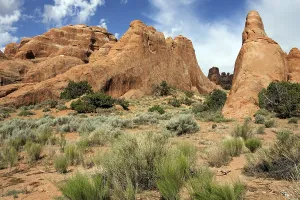 Weathered Rock Formations Prints: Rock formations at Devil's Garden Trailhead