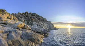 Prints of Rock formations in the evening light on, Capo Sant Andrea, Marciana, Livorno Province, Italy Livorno Prints: Rock Formations Evening Print, Capo Sant Andrea, Italy