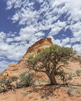 Deserted Rock Formation Landscape Prints: Rock formations of the Teepees