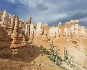 Navajo Loop Trail Prints: Rocks of the Navajo Loop Trail