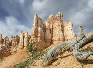 Protected Area Tourism Prints: Rocks of the Navajo Loop Trail