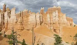 US Mountain Landscapes Prints: Rocks of the Navajo Loop Trail