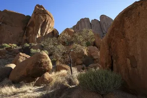 Spitzkoppe Namibia Prints: Rocks and vegetation, Spitzkoppe