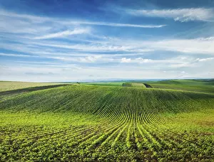 Central Europe Agricultural Land Prints: Rolling fields of Moravia, Czech Republic
