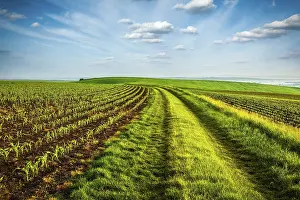 Czech Republic Landscape Photography Prints: Rolling fields of Moravia, Czech Republic