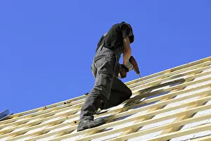 Manual Laborer At Work Prints: Roofer or carpenter at work