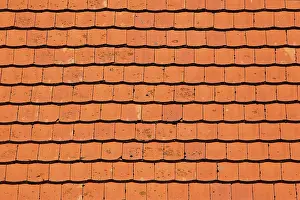 Roof Tile Patterns Prints: Rooftiles