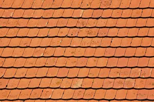 Roof Tile Patterns Prints: Rooftiles