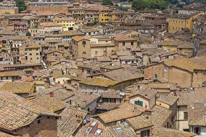 Siena Rooftops Prints: Above the rooftops in the historic centre of Siena