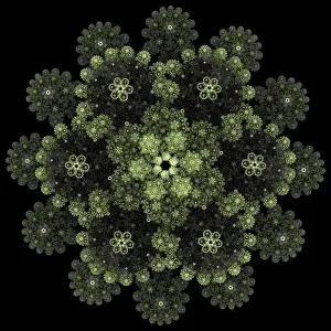 Deserted Floral Decoration Prints: Rose pattern. Mandala pattern. Fractal design