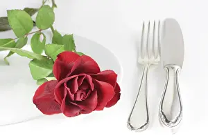 Uninhabited Garden Scenes Prints: Rose on a plate
