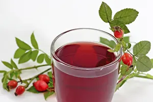 Herbal Tea Benefits Prints: Rosehip tea