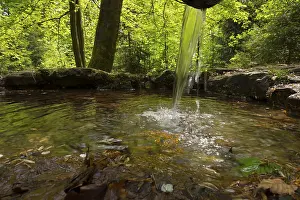 Bavaria Germany Photography Prints: Rotmainquelle, source of the Red Main