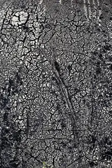 Filling The Format Image Prints: Rotted tar coating on a drum